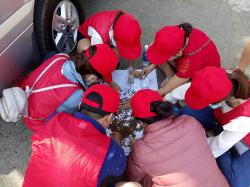 Teambuilding: Get Motivated Sony-15-03-2018